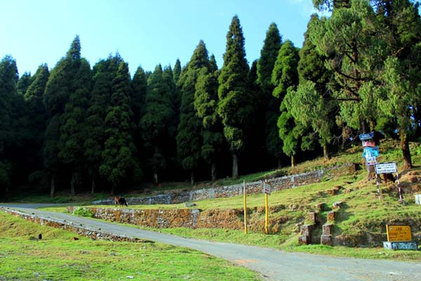Way to Rishyap